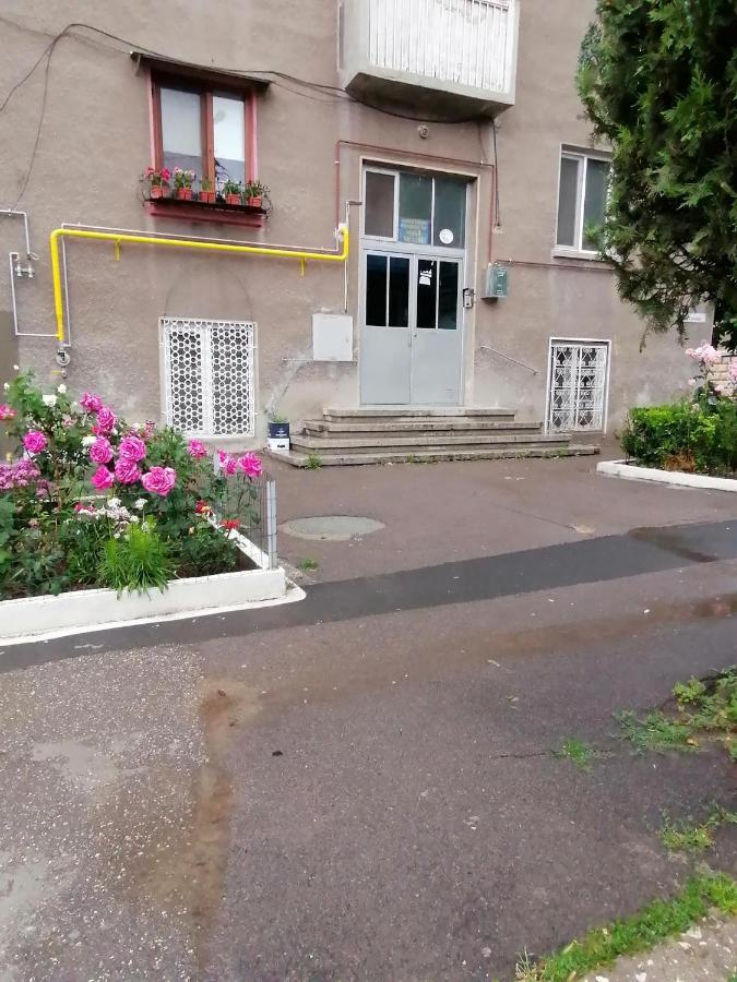 Mara Studio Apartment Constanta Exterior photo